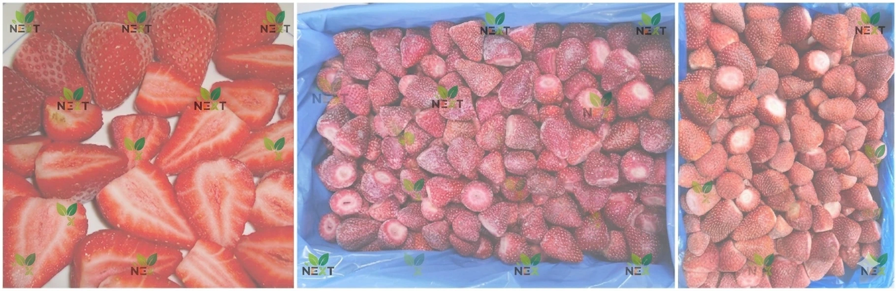 Le Parcours de l'Excellence : Les Fraises Surgelées NEXT, de la Ferme à la Table