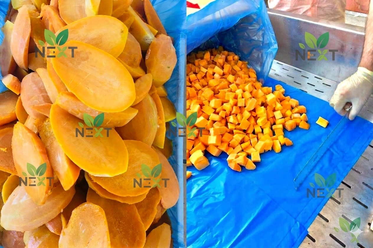 Mangue Surgelée de Qualité Supérieure : La Fraîcheur de la Ferme Toute l'Année